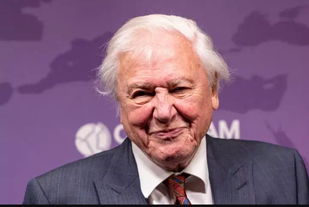Sir David Attenborough says 'the end is near' as he delivers devastating confession